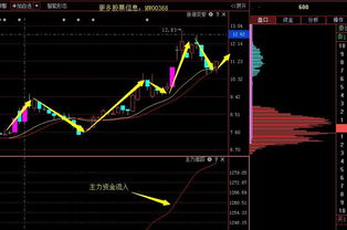 潜力牛股分析 603009 - 上海自贸区低价小市值软件股投资价值解析