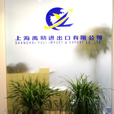 上海报关代理与软件代理开发 双轮驱动下的企业跨境与数字化新机遇