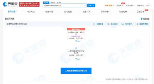 上海软件代理与开发 企业数字化转型的双引擎