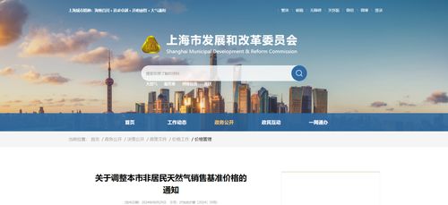 上海市发改委调整非居民天然气售价 对软件代理与开发行业的影响与应对策略